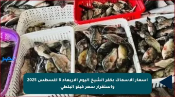 أسعار الأسماك بكفر الشيخ اليوم الأربعاء 6 أغسطس 2025 واستقرار سعر كيلو البلطي